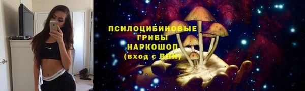крисы Волосово