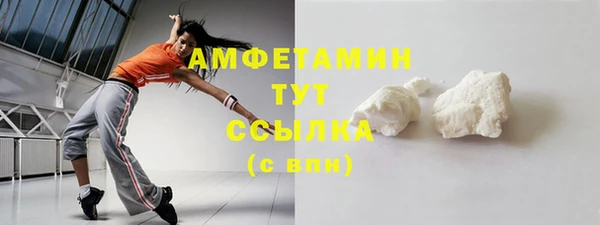 прущая мука Вяземский