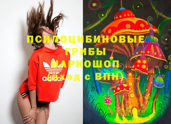 прущая мука Вяземский