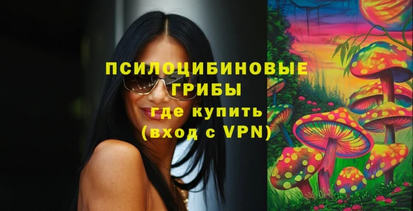 apvp Воткинск