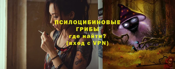 прущая мука Вяземский