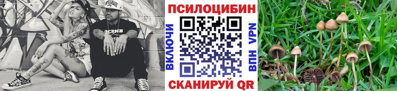 Галлюциногенные грибы Psilocybine cubensis  сайты даркнета Telegram  Галич  как найти наркотики 